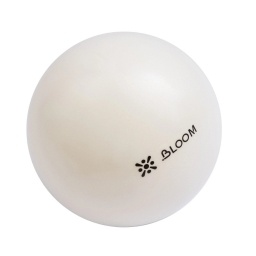 Mini Pelota de Pilates Yoga Rehabilitaci�n 20cm LIVEPRO