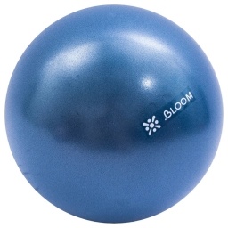 Mini Pelota de Pilates Yoga Rehabilitaci�n 30cm PRO LIVEPRO